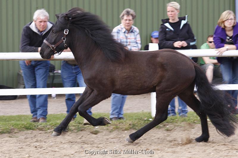 Noah von Heidmoor (6).JPG